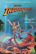 Original Novel 12 front cover
