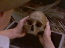 Which has two skulls inside.